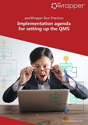 Implementation agenda for setting up the QMS